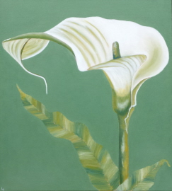 grøn calla ii